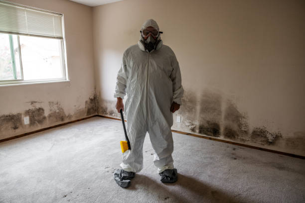 Mold Remediation for Rental Properties in Woodworth, LA